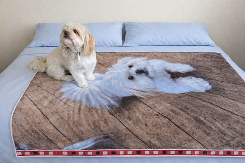 Comfort Blanket